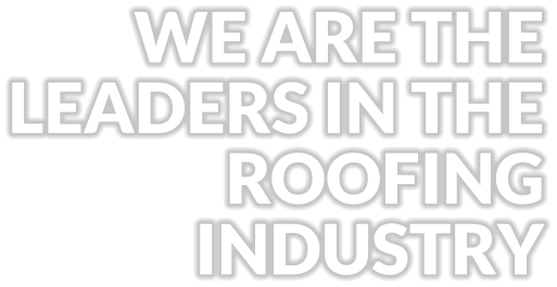 WE ARE THE LEADERS IN THE ROOFING INDUSTRY